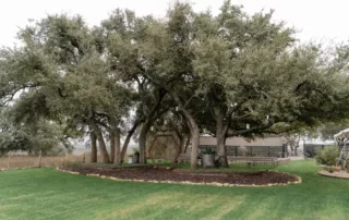 dripping springs wedding venue