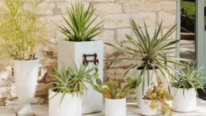 texas hill country wedding venue spaces